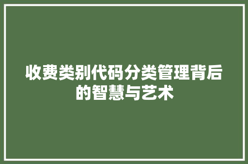 收费类别代码分类管理背后的智慧与艺术