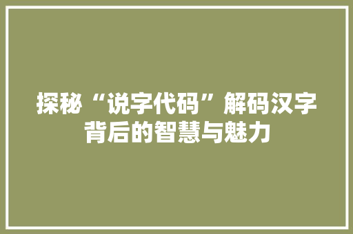 探秘“说字代码”解码汉字背后的智慧与魅力