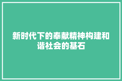 新时代下的奉献精神构建和谐社会的基石