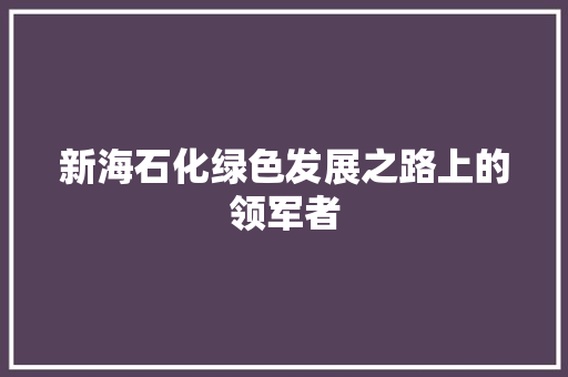 新海石化绿色发展之路上的领军者