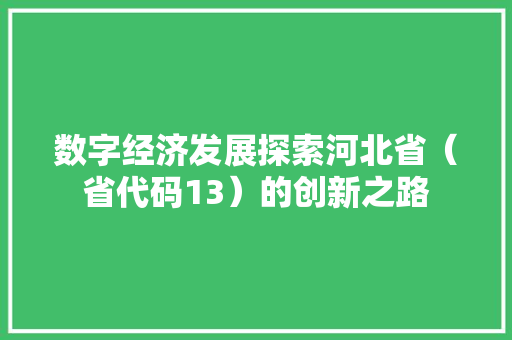 数字经济发展探索河北省（省代码13）的创新之路