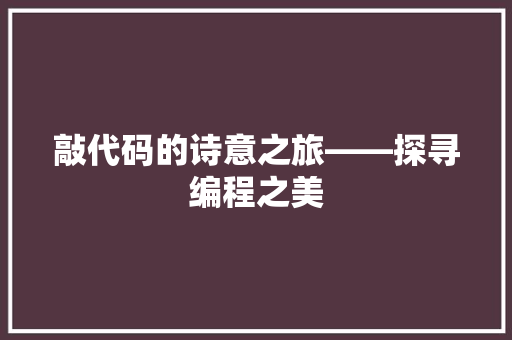 敲代码的诗意之旅——探寻编程之美