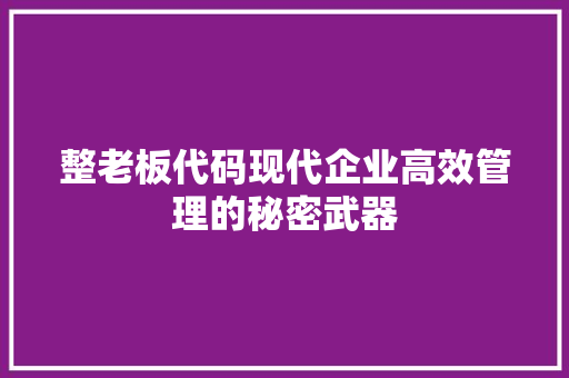 整老板代码现代企业高效管理的秘密武器