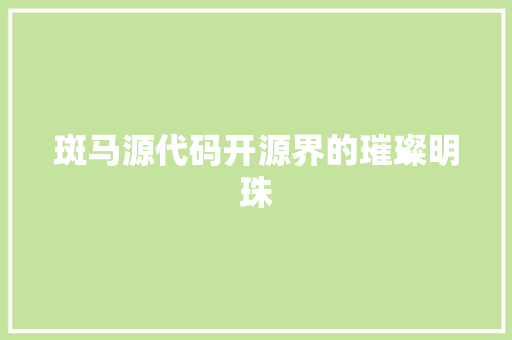 斑马源代码开源界的璀璨明珠