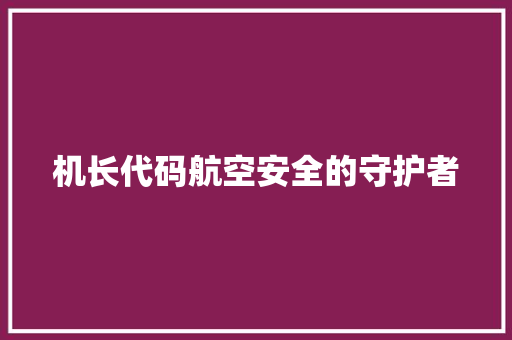 机长代码航空安全的守护者  第1张