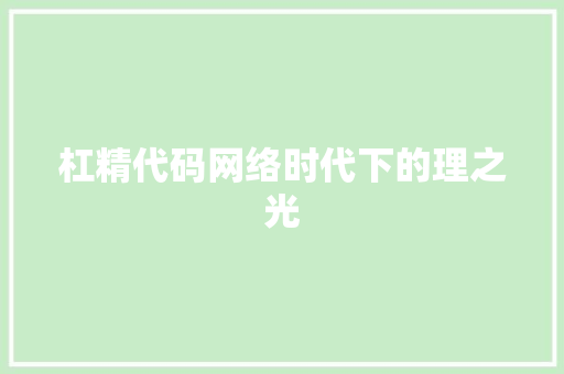 杠精代码网络时代下的理之光