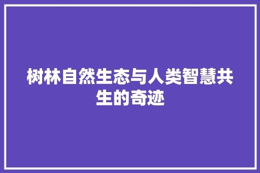树林自然生态与人类智慧共生的奇迹