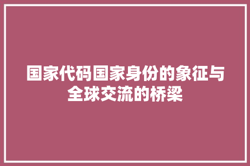 国家代码国家身份的象征与全球交流的桥梁