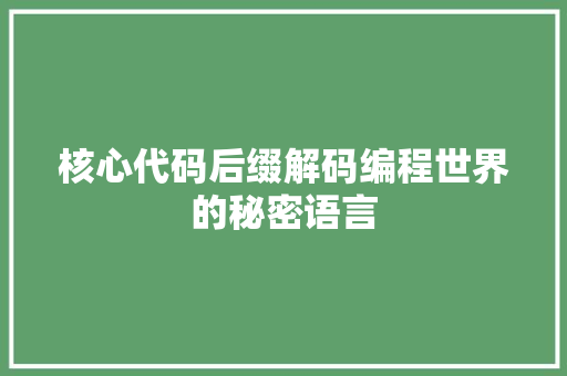 核心代码后缀解码编程世界的秘密语言