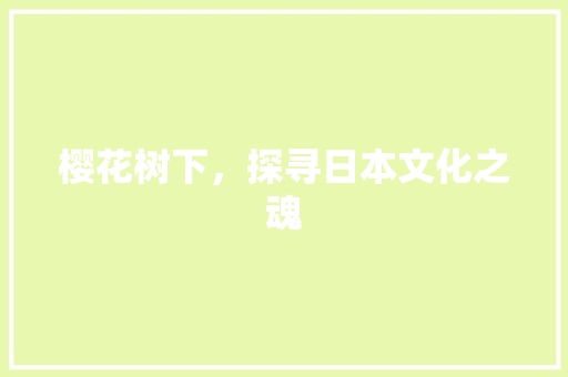 樱花树下，探寻日本文化之魂