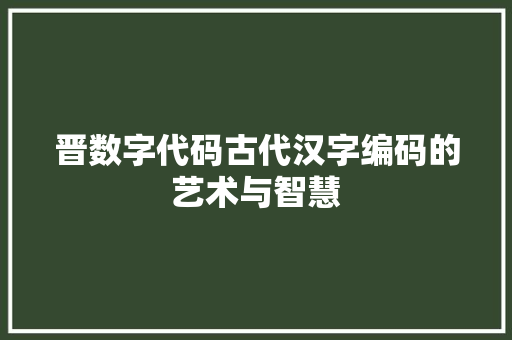 晋数字代码古代汉字编码的艺术与智慧