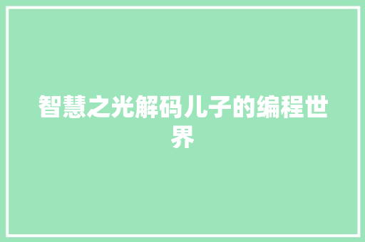 智慧之光解码儿子的编程世界