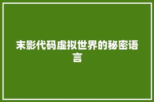 末影代码虚拟世界的秘密语言