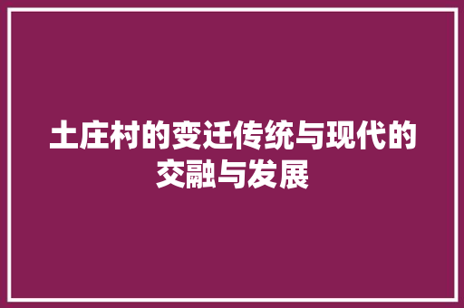 土庄村的变迁传统与现代的交融与发展