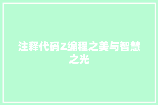 注释代码Z编程之美与智慧之光