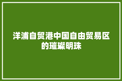 洋浦自贸港中国自由贸易区的璀璨明珠