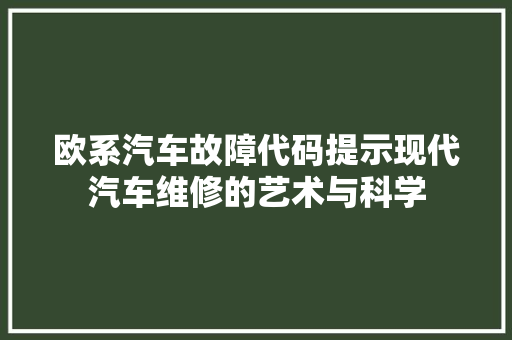 欧系汽车故障代码提示现代汽车维修的艺术与科学