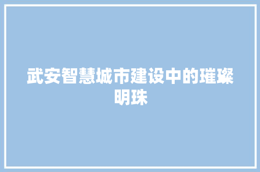 武安智慧城市建设中的璀璨明珠