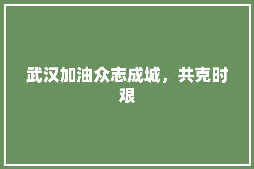 武汉加油众志成城，共克时艰