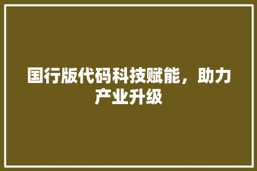 国行版代码科技赋能，助力产业升级