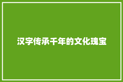 汉字传承千年的文化瑰宝