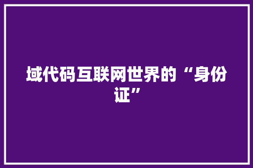 域代码互联网世界的“身份证”