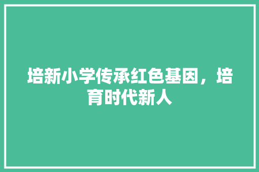 培新小学传承红色基因，培育时代新人