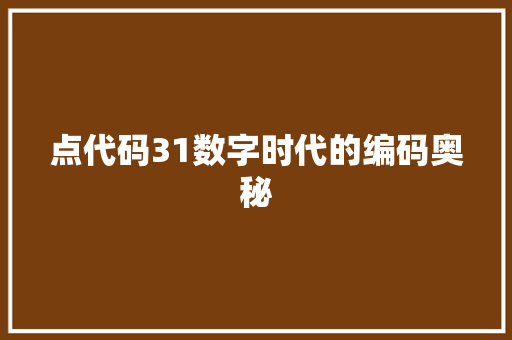 点代码31数字时代的编码奥秘