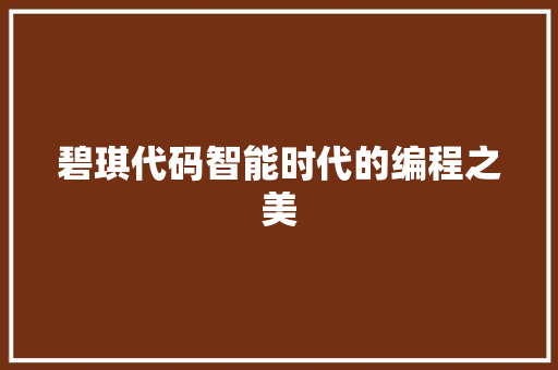碧琪代码智能时代的编程之美