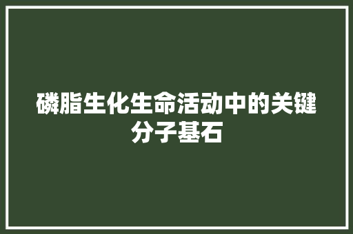 磷脂生化生命活动中的关键分子基石