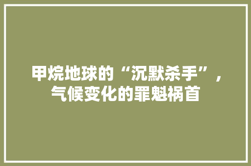 甲烷地球的“沉默杀手”，气候变化的罪魁祸首