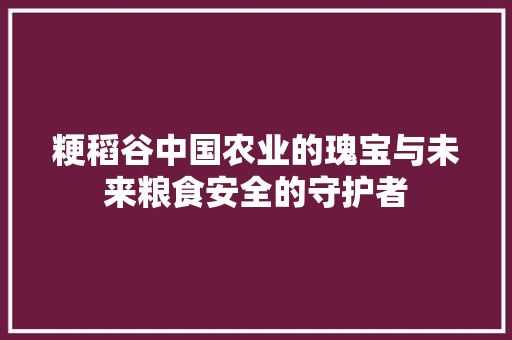粳稻谷中国农业的瑰宝与未来粮食安全的守护者