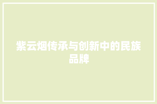 紫云烟传承与创新中的民族品牌