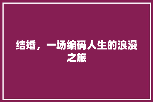 结婚，一场编码人生的浪漫之旅  第1张