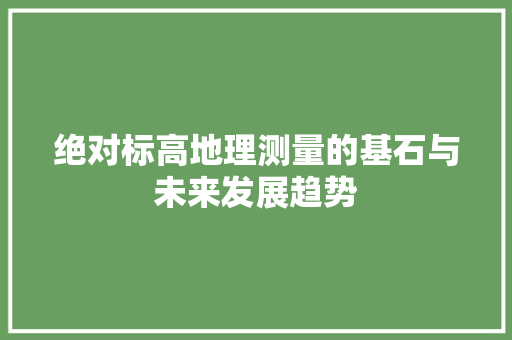 绝对标高地理测量的基石与未来发展趋势