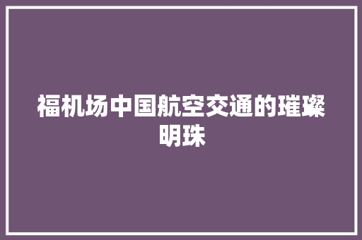 福机场中国航空交通的璀璨明珠