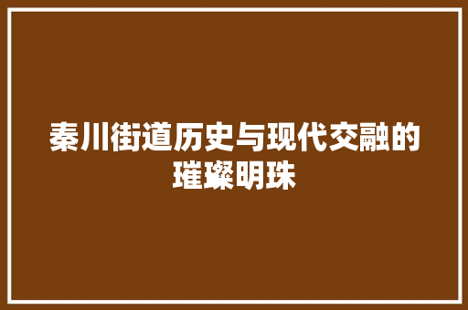 秦川街道历史与现代交融的璀璨明珠