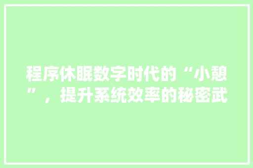 程序休眠数字时代的“小憩”，提升系统效率的秘密武器