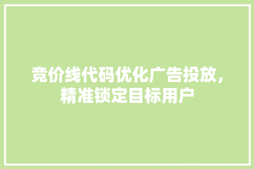 竞价线代码优化广告投放，精准锁定目标用户