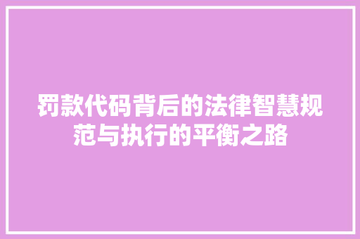 罚款代码背后的法律智慧规范与执行的平衡之路