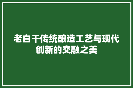 老白干传统酿造工艺与现代创新的交融之美