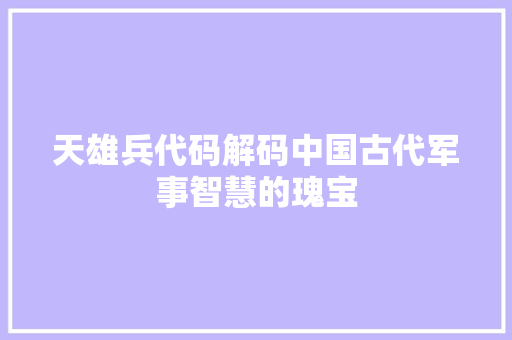 天雄兵代码解码中国古代军事智慧的瑰宝