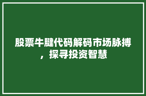 股票牛腱代码解码市场脉搏，探寻投资智慧