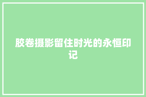 胶卷摄影留住时光的永恒印记