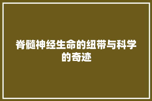 脊髓神经生命的纽带与科学的奇迹