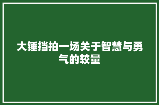 大锤挡拍一场关于智慧与勇气的较量