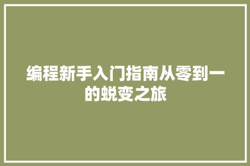 编程新手入门指南从零到一的蜕变之旅