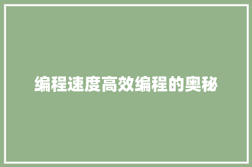 编程速度高效编程的奥秘