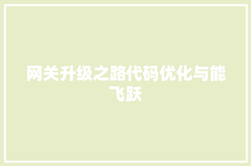 网关升级之路代码优化与能飞跃