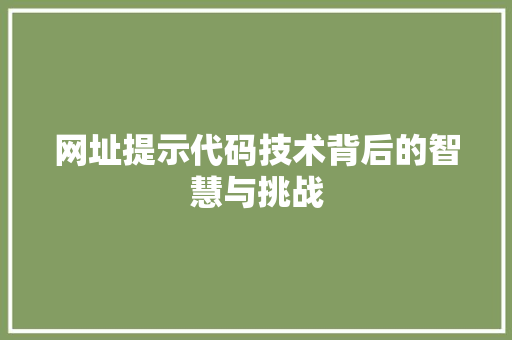 网址提示代码技术背后的智慧与挑战